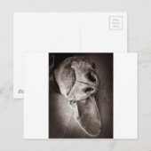 Lucca Briefkaart (Voorkant / Achterkant)