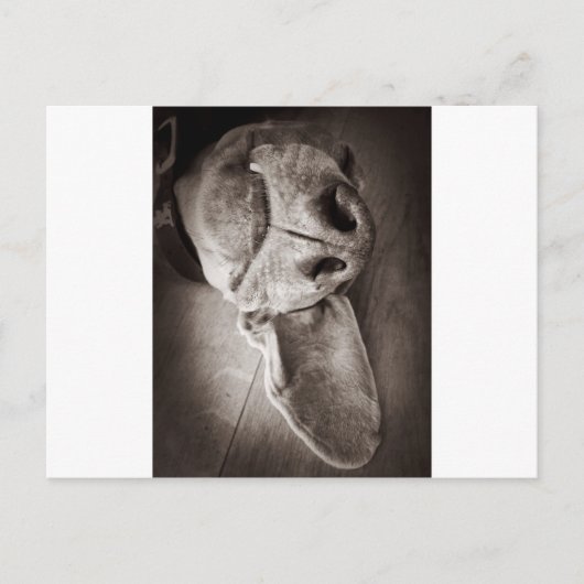 Lucca Briefkaart (Voorkant)