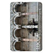 Lucca, Italië Magneet (Verticaal)