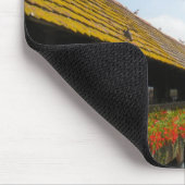 Lucerne Muismat (Hoek)