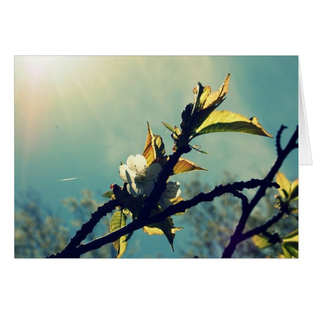  lucht (Voorkant Horizontaal)