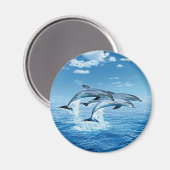 Lucht Dolphins Magnet (Voorkant / Achterkant)
