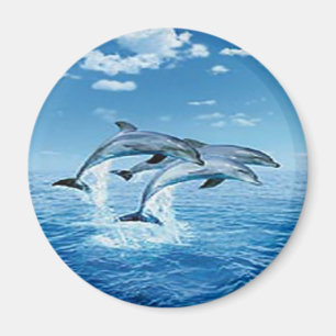 Lucht Dolphins Magnet