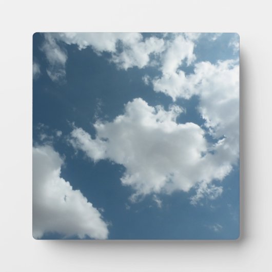 Lucht Fotoplaat (Voorkant)