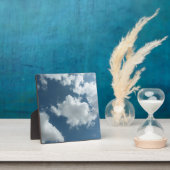 Lucht Fotoplaat (Insitu)