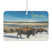 Lucht Freshner-Yellowstone Buffalo Luchtverfrisser (Achterkant)
