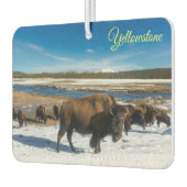 Lucht Freshner-Yellowstone Buffalo Luchtverfrisser (Links)