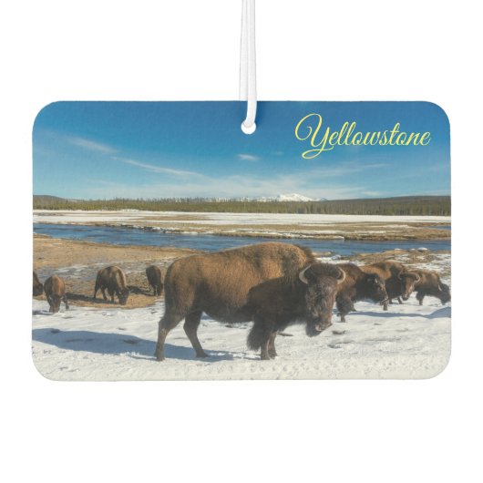 Lucht Freshner-Yellowstone Buffalo Luchtverfrisser (Voorkant)
