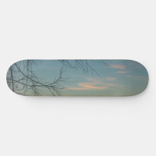 Lucht & gemak persoonlijk skateboard (Horizontaal)