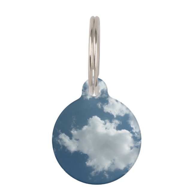 Lucht Huisdierpenning (Voorkant)