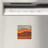 Lucht in brand  magneet (Insitu (Vaatwasser))