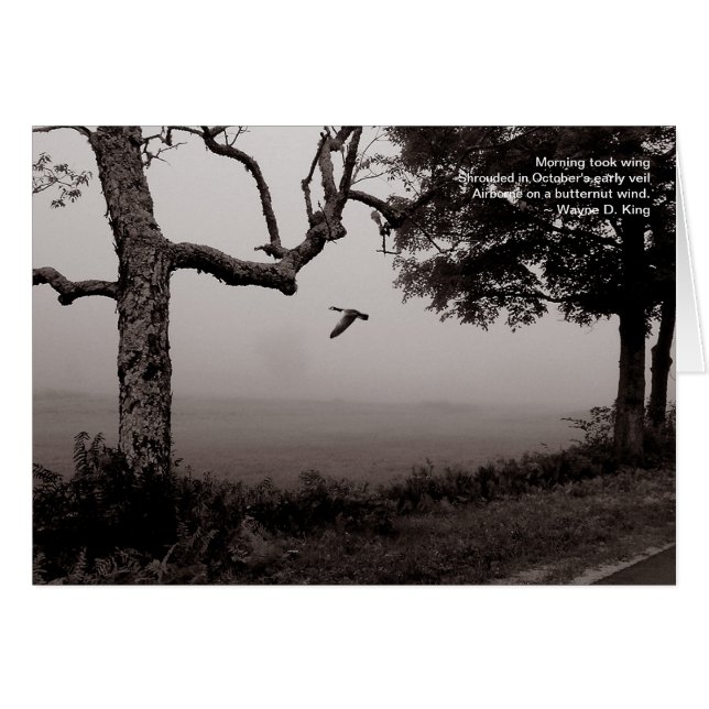 Lucht op een zijwind (Voorkant Horizontaal)