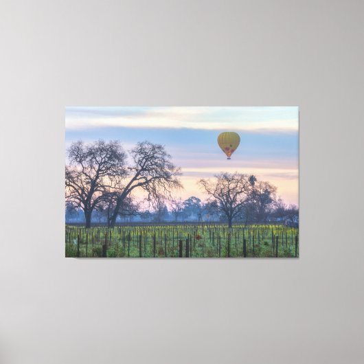 Luchtballon boven de wijngaard canvas afdruk (Voorkant)