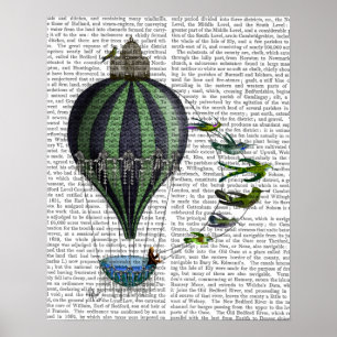 Luchtballon en -vogels poster