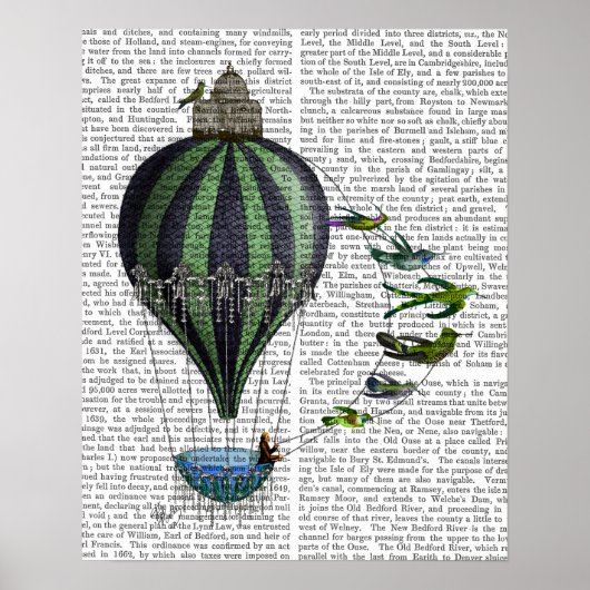 Luchtballon en -vogels poster (Voorkant)