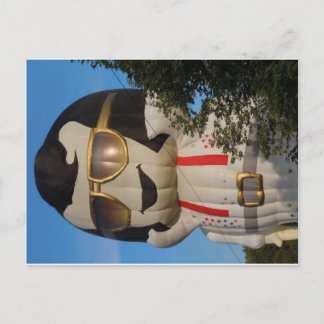 Luchtballon in Binghamton, NY Briefkaart