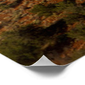 Luchtballon, Red Rock, Coconino National Poster (Hoek)