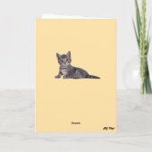 luchtballon van Tabby Kaart (Achterkant)