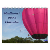 Luchtballonnen!!!!! Agenda 2013 Kalender (Hoes)
