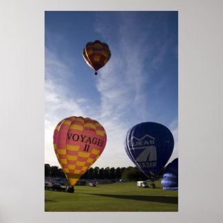 Luchtballonnen die opstijgen poster