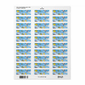 Luchtballonnen Etiket (Full Sheet)
