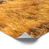 Luchtballonnen over Cappadocia Poster (Hoek)