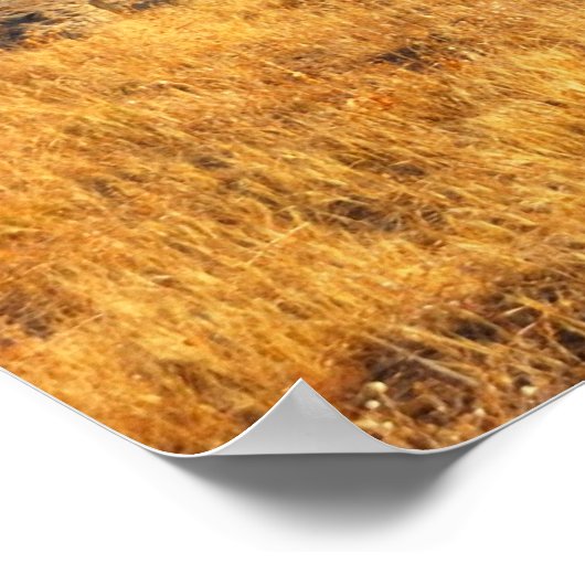 Luchtballonnen over Cappadocia Poster (Hoek)