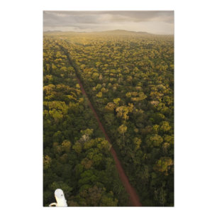 Luchtbeeld van regenwoud. Iwokrama-reservaat, 2 Foto Afdruk