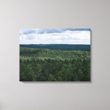 Luchtbos en wolken natuur landschap foto