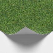 Luchtbos uitzicht, hoogste uitzicht, kopieerruimte cadeaupapier (Hoek)