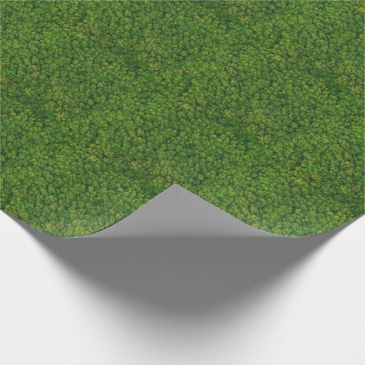 Luchtbos uitzicht, hoogste uitzicht, kopieerruimte cadeaupapier (Hoek)