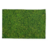 Luchtbos uitzicht, hoogste uitzicht, kopieerruimte kussensloop (Achterkant)