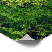 Luchtbos uitzicht, hoogste uitzicht, kopieerruimte poster (Hoek)