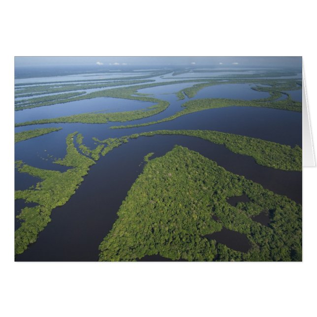 Luchtfoto van Anavilhanas-archipel, overstroomd (Voorkant Horizontaal)