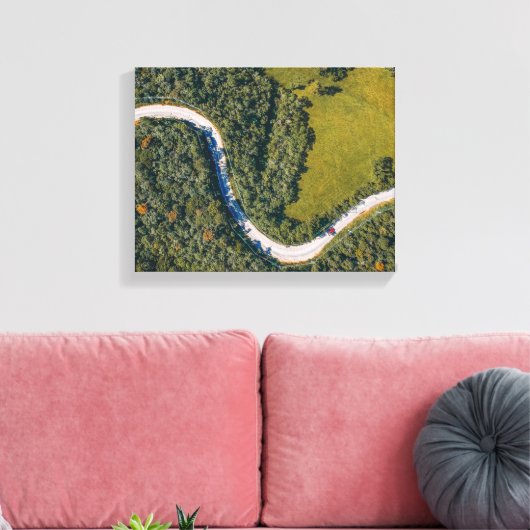 Luchtfoto van bomen overdag canvas afdruk (Insitu (Woonkamer))