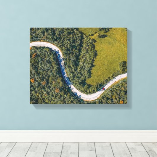 Luchtfoto van bomen overdag canvas afdruk (Insitu (Houten vloer))