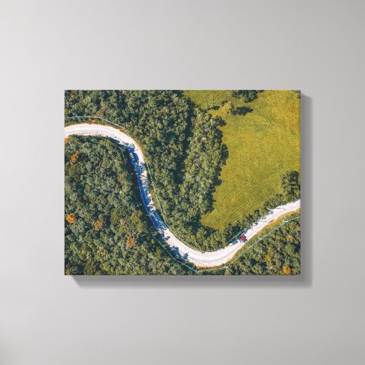 Luchtfoto van bomen overdag canvas afdruk (Voorkant)