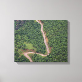 Luchtfoto van bos canvas afdruk