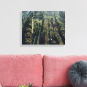 Luchtfoto van groen-blad bomen canvas afdruk (Insitu (Woonkamer))