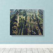 Luchtfoto van groen-blad bomen canvas afdruk (Insitu (Houten vloer))