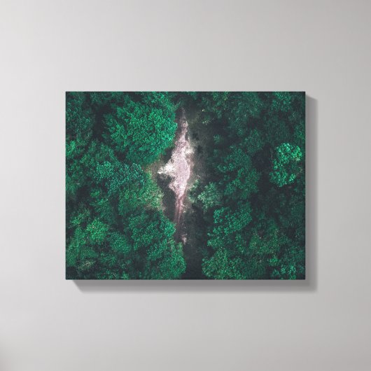 Luchtfoto van groen bos canvas afdruk (Voorkant)