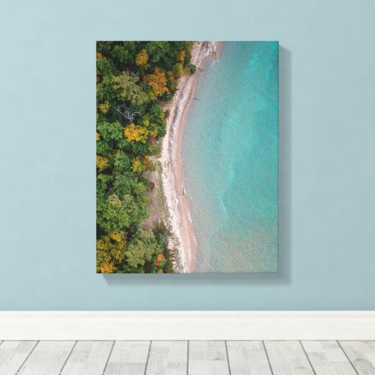 luchtfoto van het strand canvas afdruk (Insitu (Houten vloer))