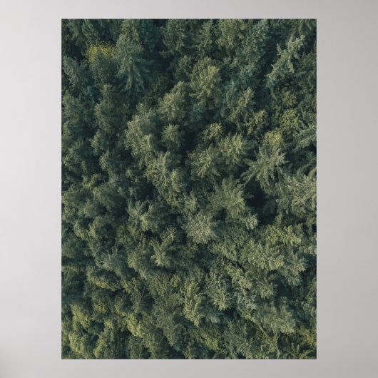 Luchtfotografie van groene bomen poster (Voorkant)