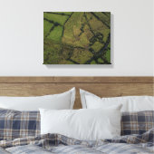 Luchtfotografie van groene velden canvas afdruk (Insitu (Slaapkamer))