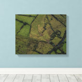 Luchtfotografie van groene velden canvas afdruk (Insitu (Houten vloer))