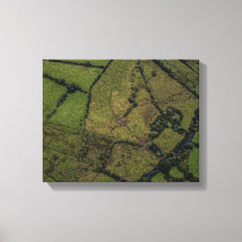Luchtfotografie van groene velden canvas afdruk