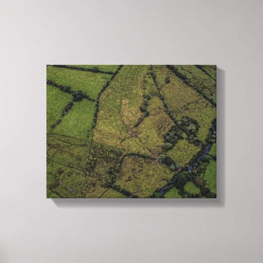 Luchtfotografie van groene velden canvas afdruk (Voorkant)