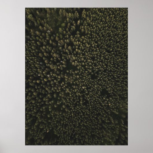 Luchtfotografie van grote groene bomen poster (Voorkant)