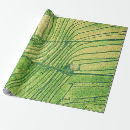 Luchtfotografie van rijstveld cadeaupapier (Uitgerold)