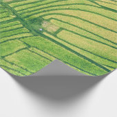 Luchtfotografie van rijstveld cadeaupapier (Hoek)